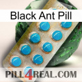 Black Ant Pill new09